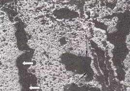 1624584068142824.png 圖片3.png