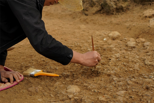 1649208830523004.png d93d6357ff21b2597187087a025941f5.png